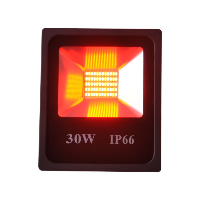 Rode LED Bouwlamp 30 Watt - IP66 - Crius