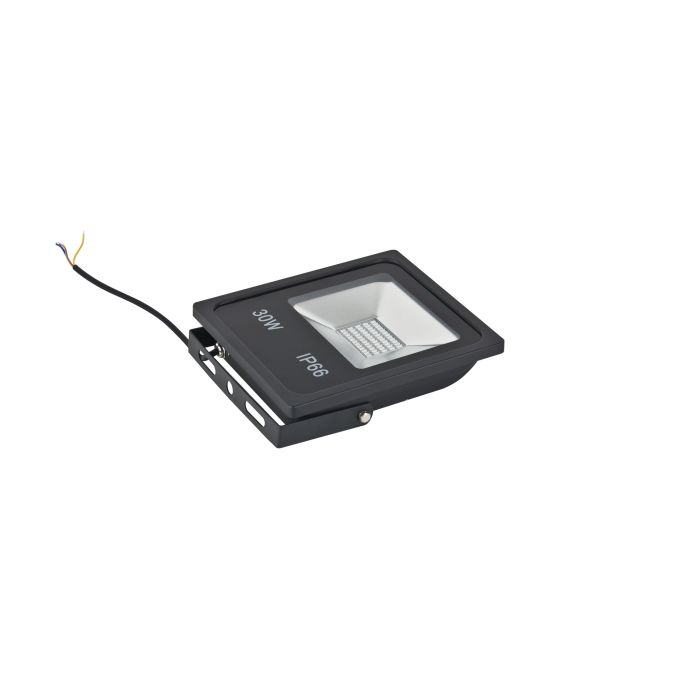 Rode LED Bouwlamp 30 Watt - IP66 - Crius