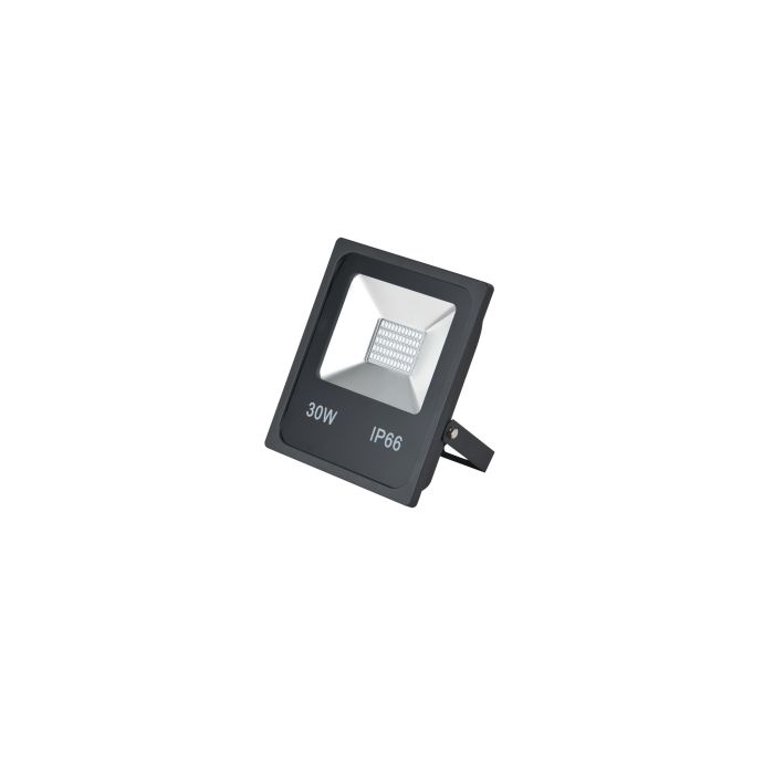 Rode LED Bouwlamp 30 Watt - IP66 - Crius